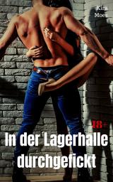 Icon image In der Lagerhalle durchgefickt: Geile Story, Ausgabe 2