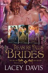 Icon image Treasure Falls Brides Box Set Books 1-3