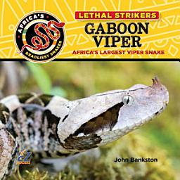 Icon image Gaboon Viper: Africa's Largest Viper Snake