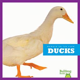 Icon image Ducks