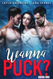 Icon image Wanna Puck?: Volume 1