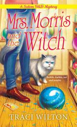 Icon image Mrs. Morris and the Witch