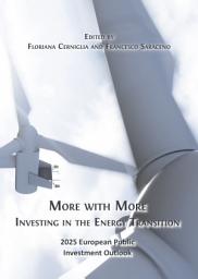 Icon image More with More: Investing in the Energy Transition 2025: European Public Investment Outlook