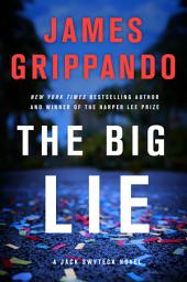 Icon image The Big Lie: A Jack Swyteck Novel