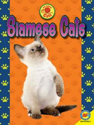 Icon image Siamese Cats