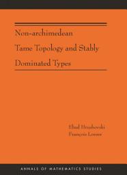 Icon image Non-Archimedean Tame Topology and Stably Dominated Types