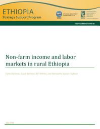 Icon image Non-farm income and labor markets in rural Ethiopia