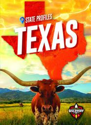 Icon image Texas