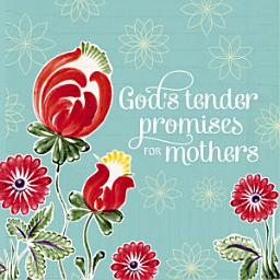 Icon image God's Tender Promises for Mothers: Encouragement and Inspiration for Moms