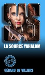 Icon image SAS 134 La source Yahalom