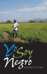 Icon image Yo Soy Negro: Blackness in Peru