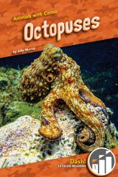 Icon image Octopuses