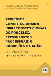 Icon image Princípios Constitucionais e Infraconstitucionais do Processo, Pressupostos Processuais e Condições da Ação: Com ênfase no Processo do Trabalho
