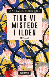 Icon image Ting vi mistede i ilden