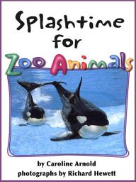 Icon image Splashtime for Zoo Animals