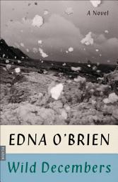 Icon image Wild Decembers: A Novel