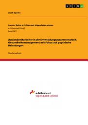 Icon image Auslandsmitarbeiter in der Entwicklungszusammenarbeit. Gesundheitsmanagement mit Fokus auf psychische Belastungen