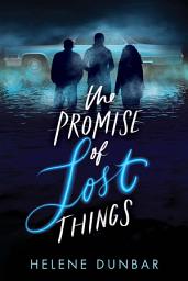 Icon image The Promise of Lost Things