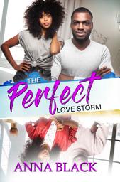 Icon image The Perfect Love Storm