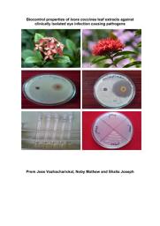 Icon image Biocontrol properties of Ixora coccinea leaf extracts against clinically isolated eye infection causing pathogens