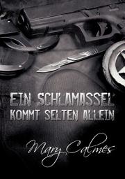 Icon image Ein Schlamassel kommt selten allein