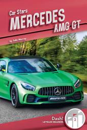 Icon image Mercedes AMG GT