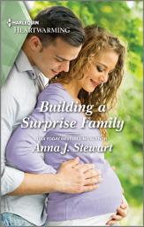 Icon image Building a Surprise Family: A Clean Romance