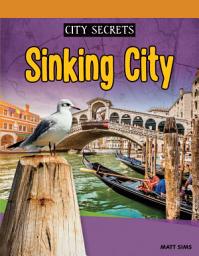 Icon image Sinking City: Sound Out Phonics Nonfiction