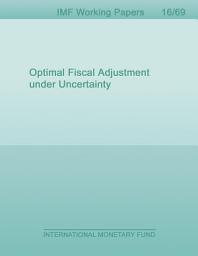 Icon image Optimal Fiscal Adjustment under Uncertainty