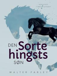 Icon image Den sorte hingsts søn