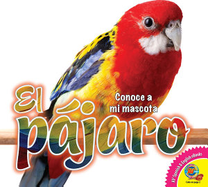 Icon image