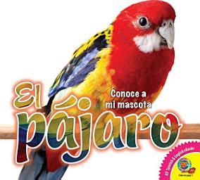 Icon image El pájaro