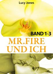 Icon image Mr. Fire und ich - Band 1-3