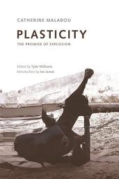 Icon image Plasticity: The Promise of Explosion