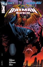 Icon image Batman and Robin (2011)