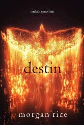 Icon image Destin (Souhait – Tome 8)