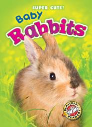 Icon image Baby Rabbits