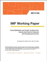 Icon image Fiscal Stabilization and Growth: Evidence from Industry-level Data for Advanced and Developing Economies