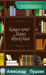 Icon image Какая ночь! Мороз трескучий