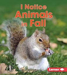 Icon image I Notice Animals in Fall
