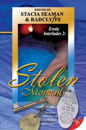 Icon image Erotic Interludes 2: Stolen Moments