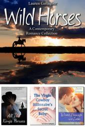Icon image Wild Horses: A Contemporary Romance Collection
