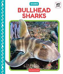 Icon image Bullhead Sharks