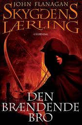 Icon image Skyggens lærling 2 - Den brændende bro