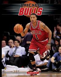 Icon image Chicago Bulls