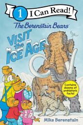 Icon image The Berenstain Bears Visit the Ice Age
