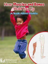 Icon image How Muscles and Bones Hold You Up: A Book About Models