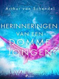 Icon image Herinneringen van een domme jongen