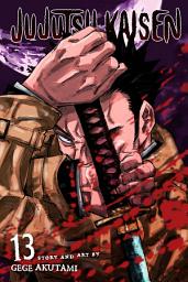 Icon image Jujutsu Kaisen: The Shibuya Train Incident--Thunderclap--