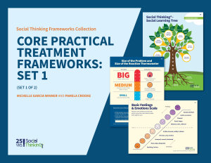 Icon image Core Practical Treatment Frameworks: Set 1: 13 Visual Teaching Scaffolds to Assess Student Social Emotional Needs and Get Started Teaching